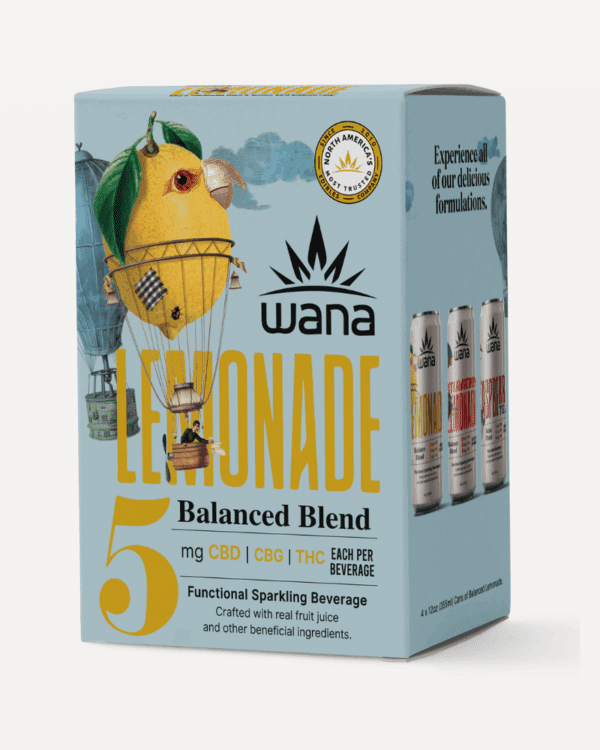 Lemonade 4 Pack - Image 3